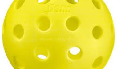 भारत को अमेरिकी पिकलबॉल प्रतियोगिता में 10 पदक