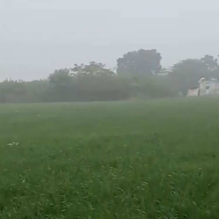 सीहोर में न्यूनतम तापमान 8 डिग्री तक पहुंचा:कुछ ही देर में गायब हुआ हल्का कोहरा; फिर लौटेगी कड़ाके की सर्दी