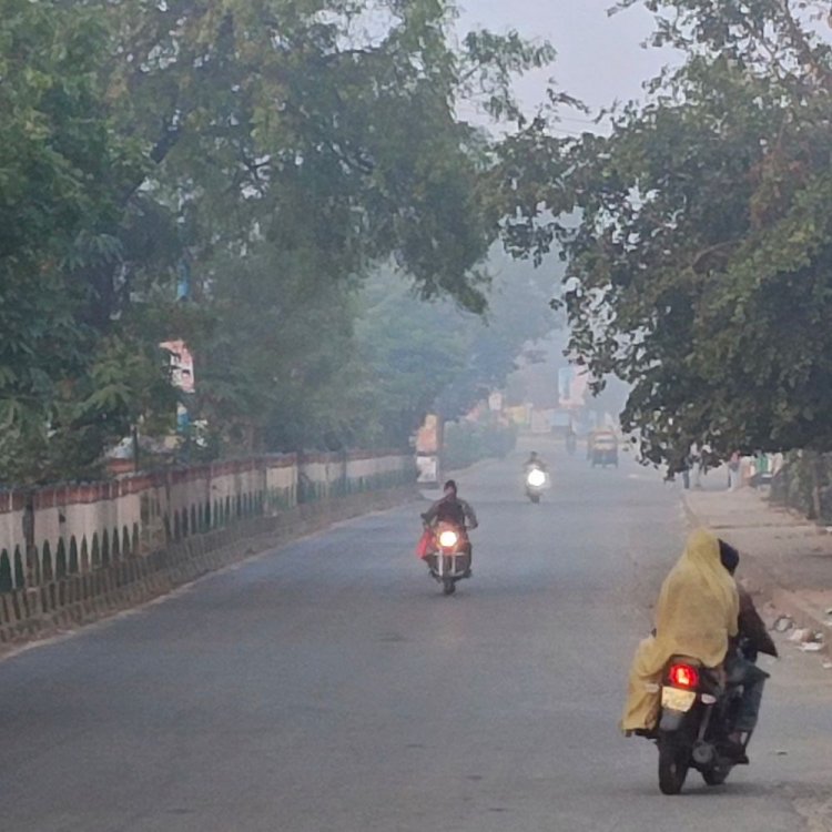 धार में दिन-रात का तापमान बढ़ा:पिछले 48 घंटों से कम हुआ शीतलहर का असर; 1 फरवरी से वेस्टर्न डिस्टर्बेंस होगा एक्टिव