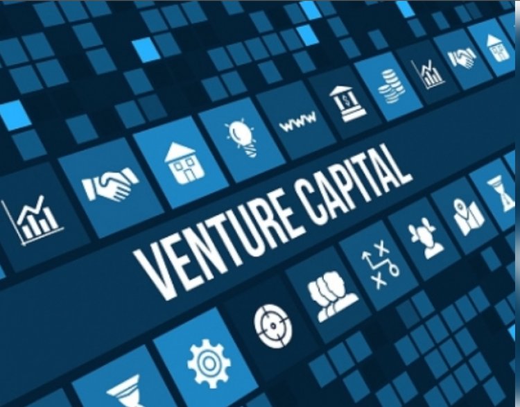 भारत का पीई-वीसी बाजार 2024 में 9 प्रतिशत बढ़कर 43 बिलियन डॉलर पर पहुंचा: रिपोर्ट
