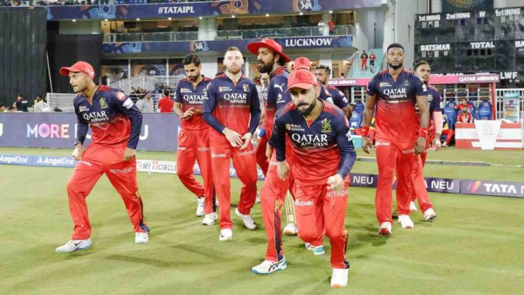 9 साल बाद IPL के फाइनल में पहुंची RCB, क्वालिफायर-1 में पंजाब को 8 विकेट से हराया, सुयश-हेजलवुड ने झटके 3-3 विकेट, 56 रन बनाकर नाबाद रहे सॉल्ट