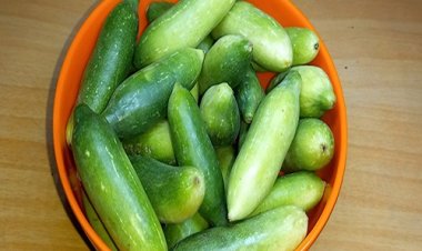 CG – तबीयत बिगड़ी कुंदरू सब्जी खाने से, 6 लोग फूड पॉइजनिंग का शिकार