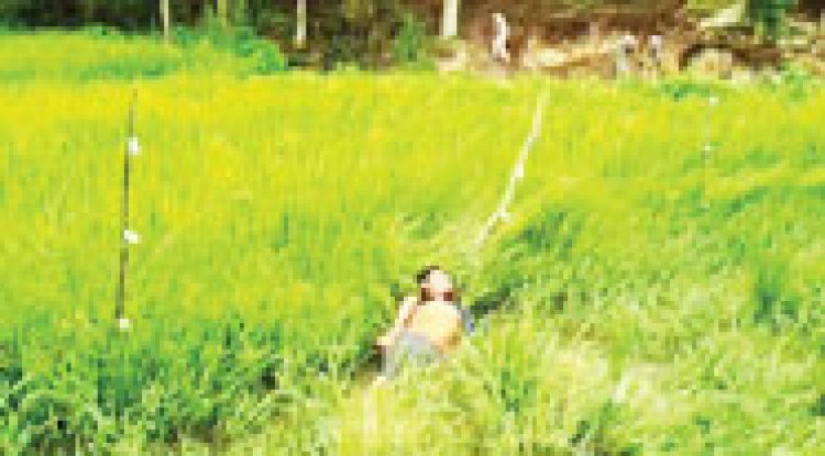 करंट की चपेट में दो युवकों की मौत, जांच