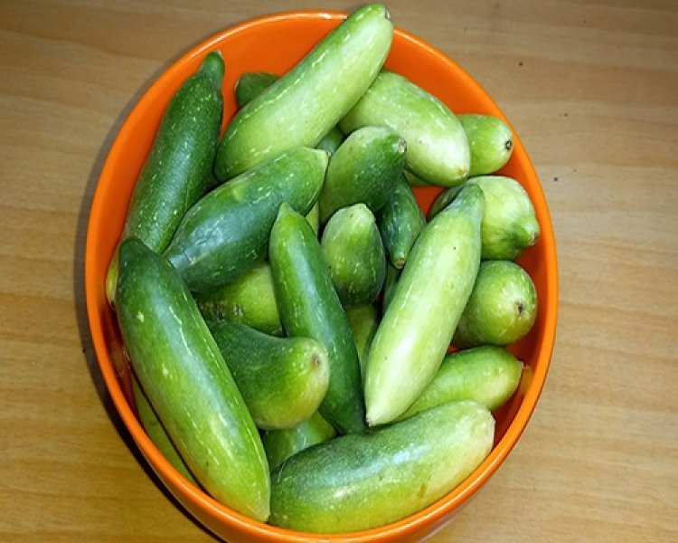 CG – तबीयत बिगड़ी कुंदरू सब्जी खाने से, 6 लोग फूड पॉइजनिंग का शिकार