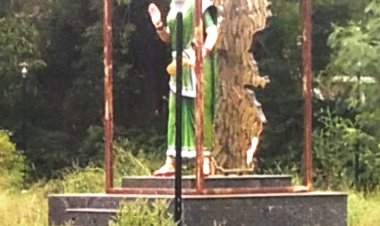 राज्य स्थापना दिवस पर सरकारी दफ्तरें जगमगा रहीं,  पर छत्तीसगढ़ महतारी की मूर्ति उपेक्षित
